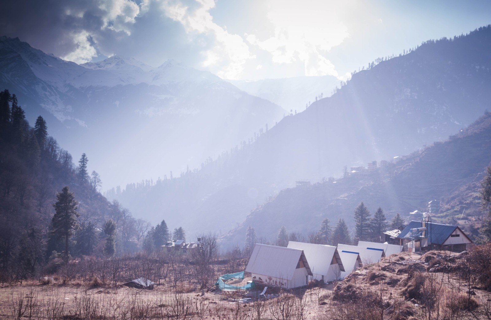 Tosh at first light — morning walk from Barshaini