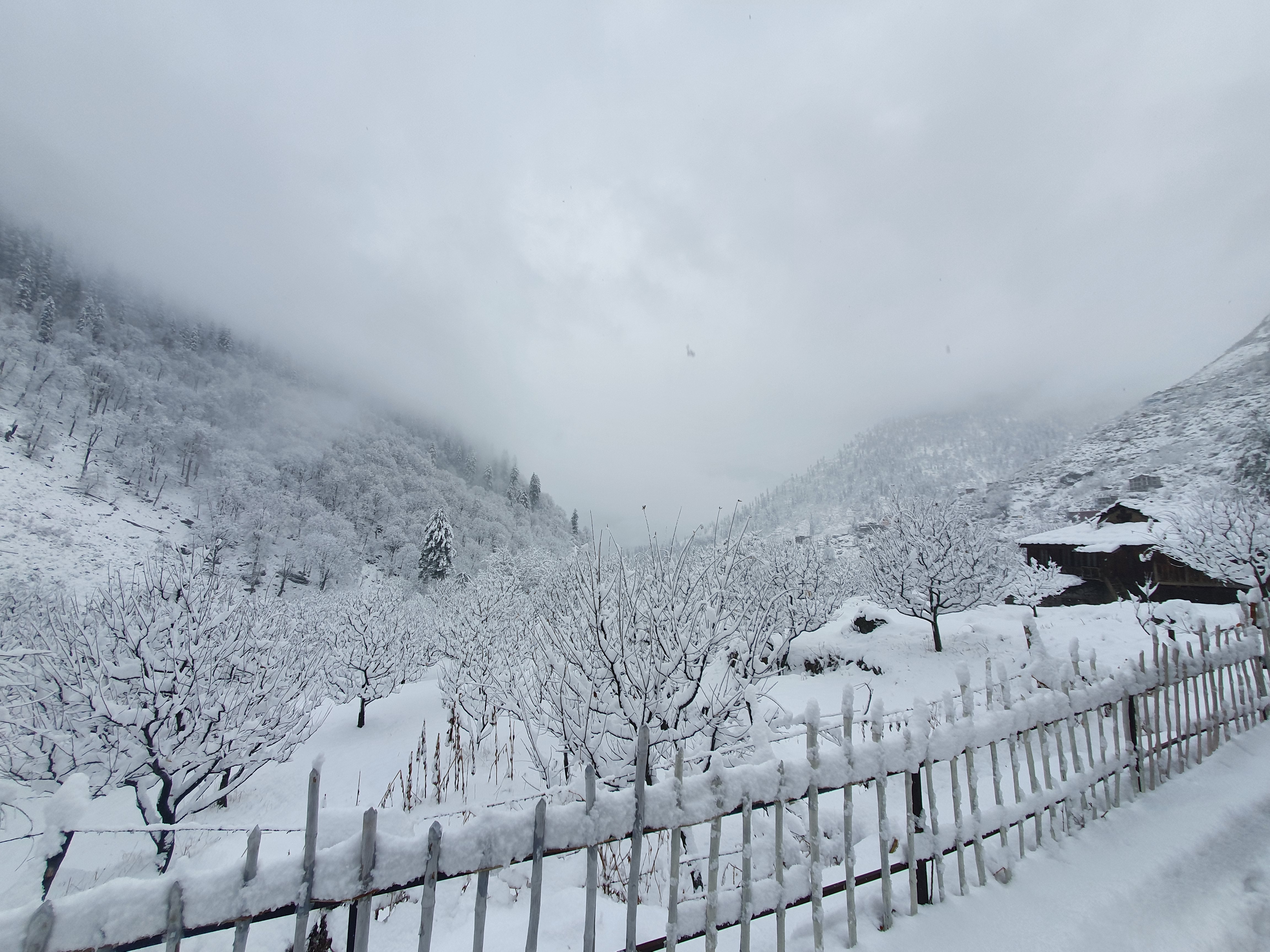 Tosh Valley, Parvati Valley
