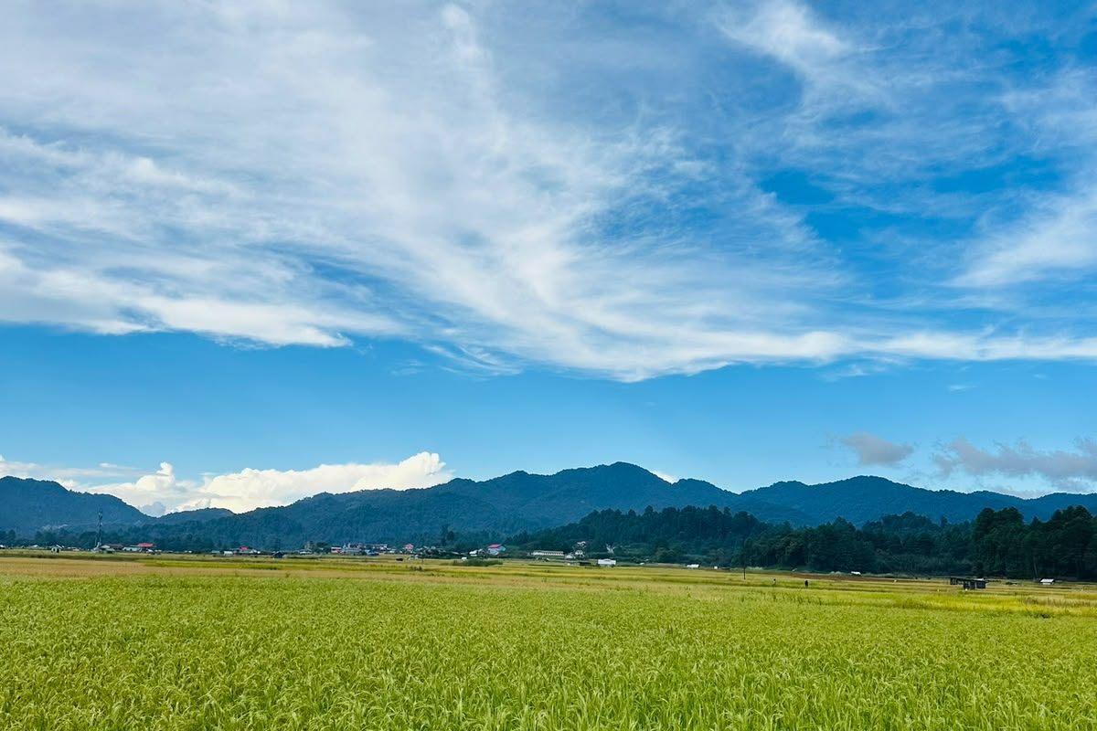 Green terraced rice paddies of the Ziro Valley, Arunachal Pradesh
